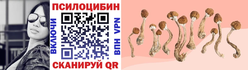 Купить где  Давлеканово  Псилоцибиновые грибы Magic Shrooms 